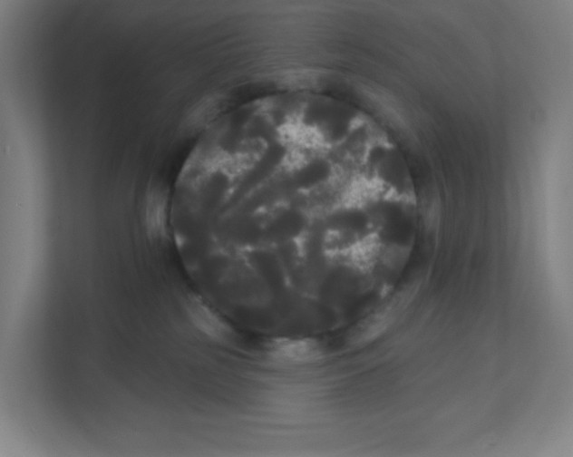 X0000111460185200908101102