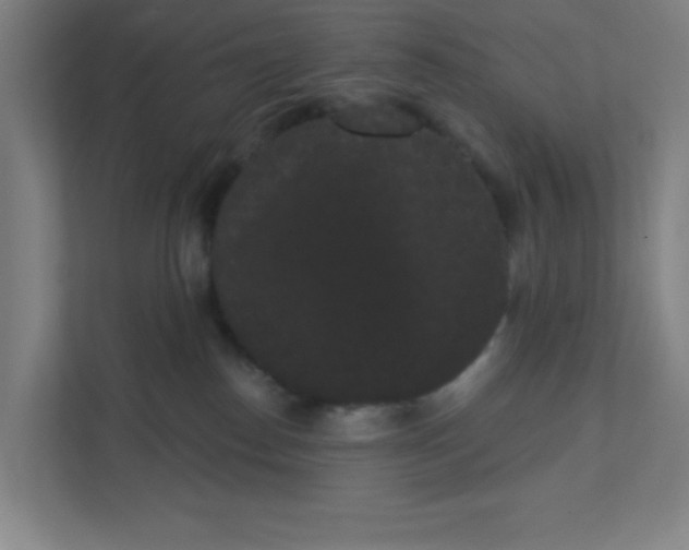 X0000111460186200908101102