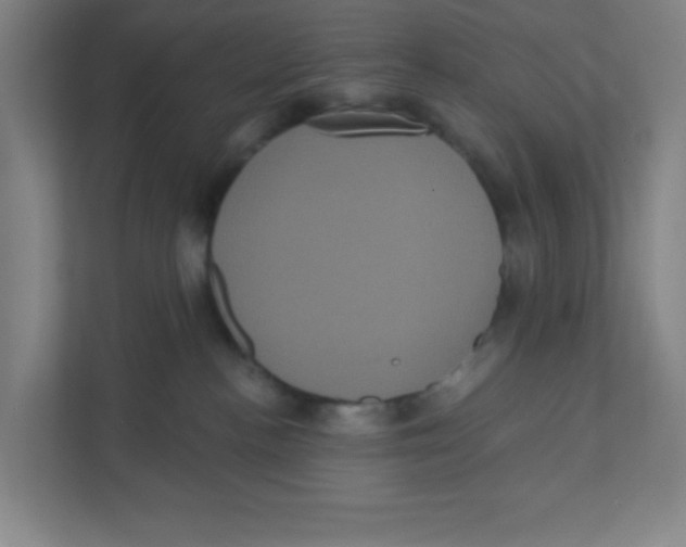 X0000111460188200908101102