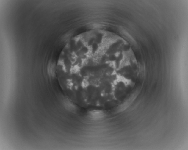 X0000111460189200908101102