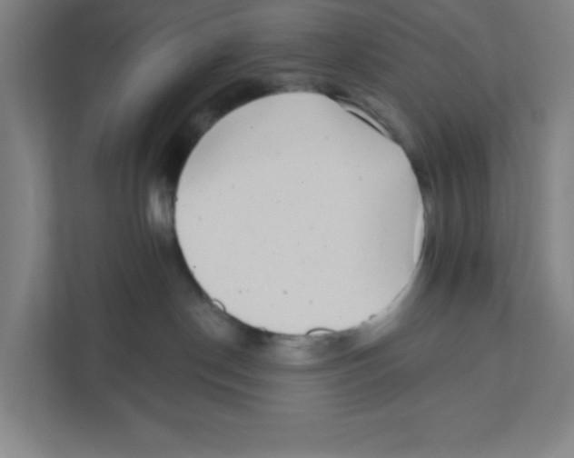 X0000111460190200908101102