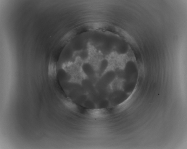 X0000111460191200908101102