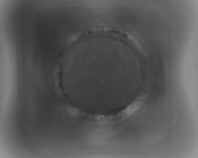 X0000111460192200908101102
