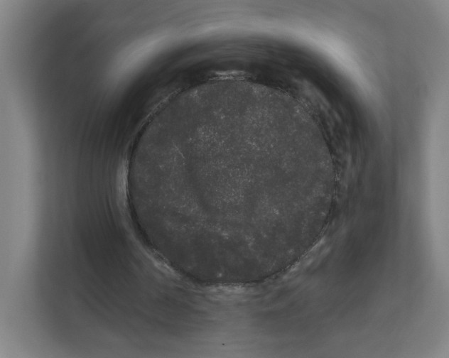 X0000111460194200908101101