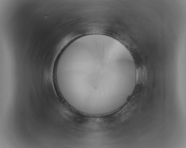 X0000111460195200908101101