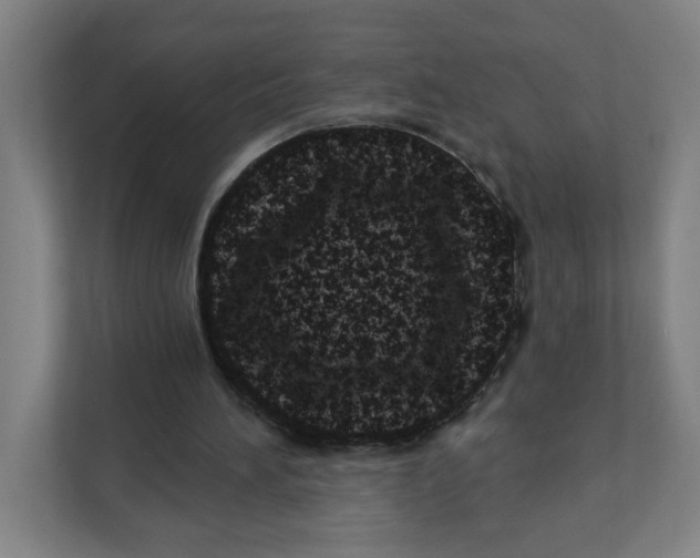 X0000111460196200908101101