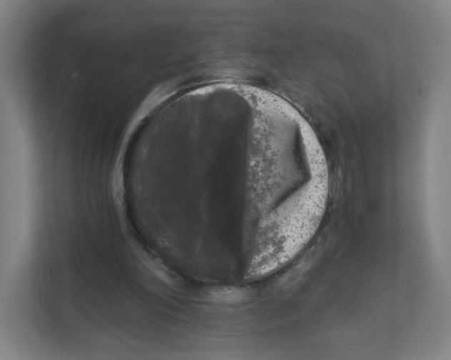 X0000111460198200908101101