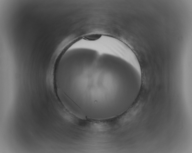 X0000111460199200908101101