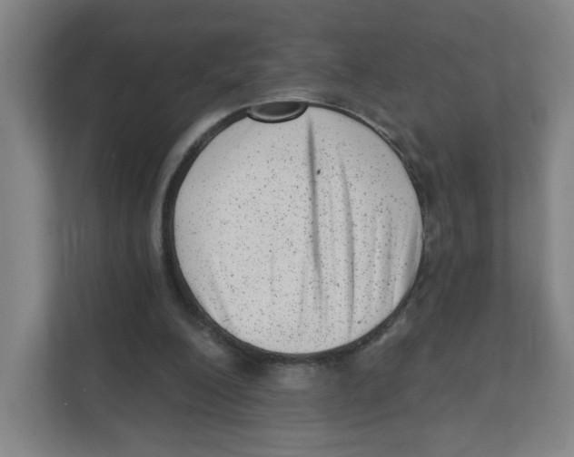 X0000111460200200908101101