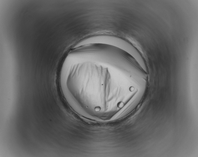 X0000111460201200908101101