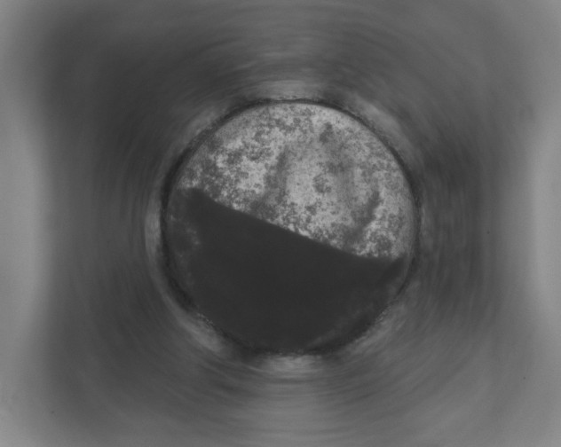 X0000111460202200908101101