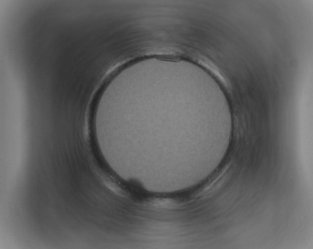 X0000111460203200908101101