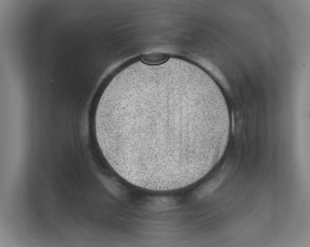 X0000111460204200908101101