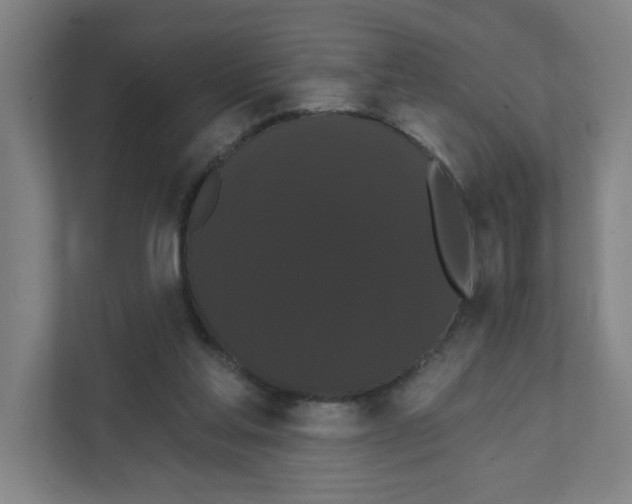 X0000111460205200908101101