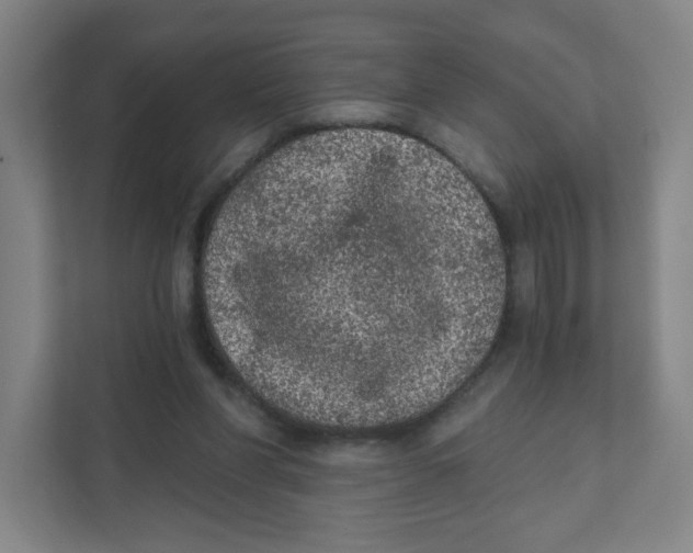X0000111460206200908101101