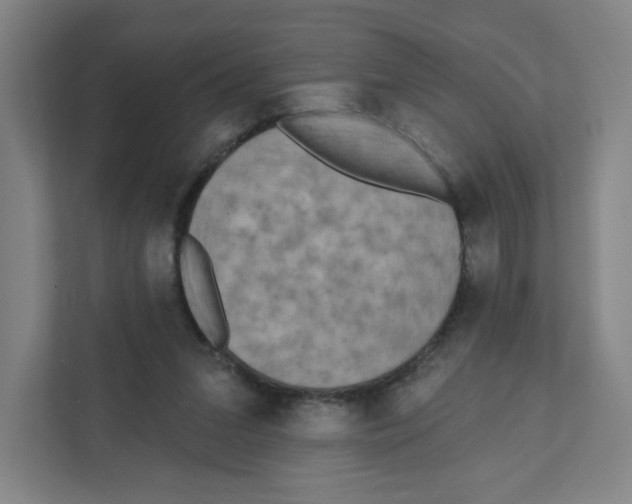 X0000111460207200908101101