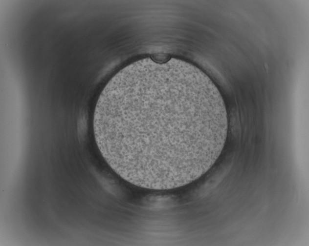 X0000111460208200908101101