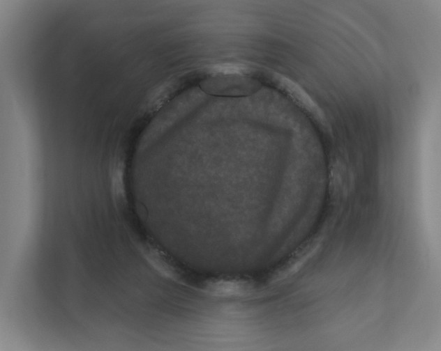 X0000111460209200908101101