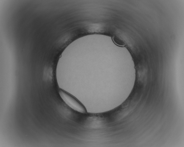 X0000111460211200908101101