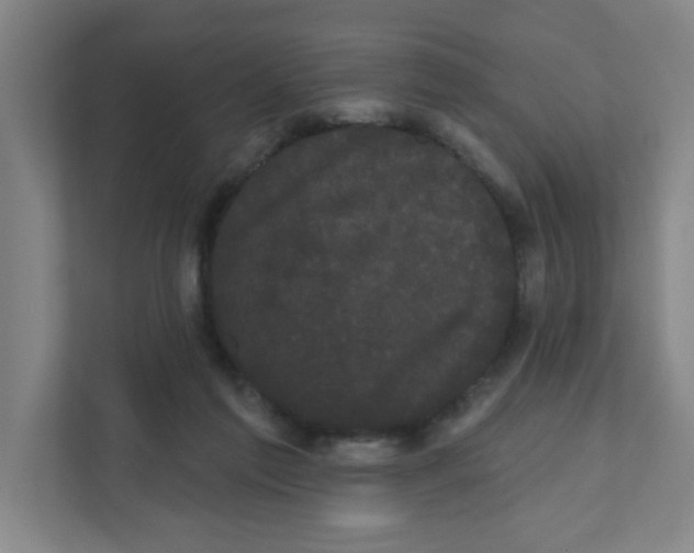 X0000111460213200908101101