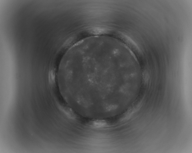 X0000111460214200908101101