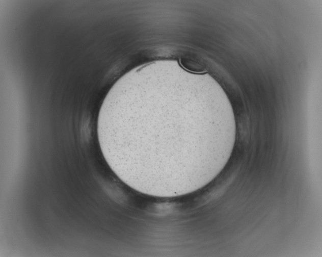 X0000111460216200908101101