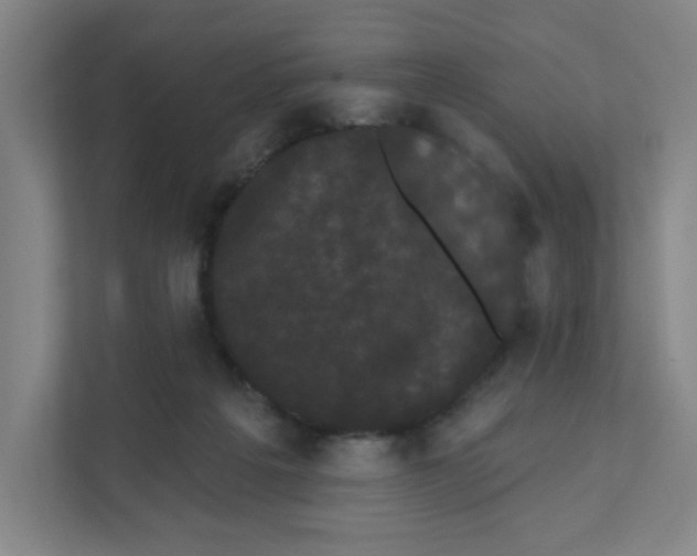 X0000111460217200908101101