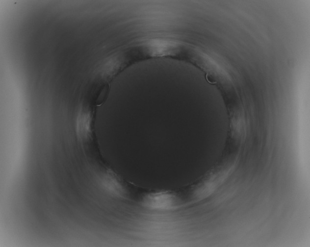 X0000111460219200908101101