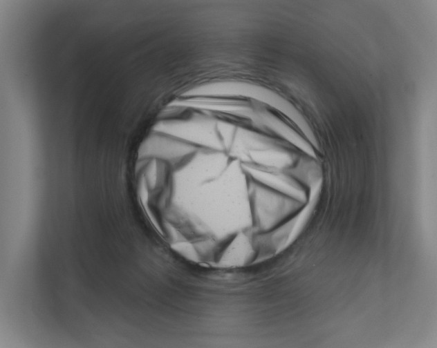 X0000111460221200908101101