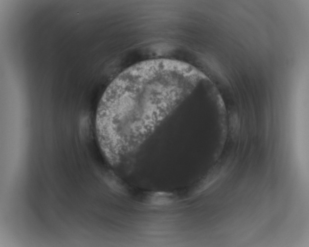 X0000111460222200908101101