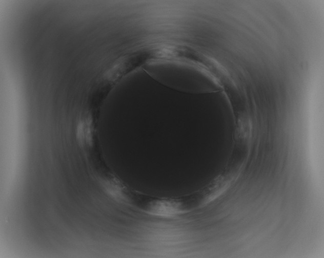 X0000111460223200908101101