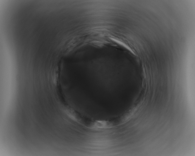X0000111460227200908101101