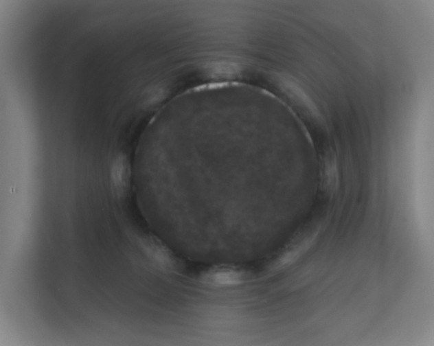 X0000111460228200908101101