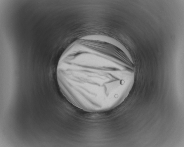 X0000111460229200908101101