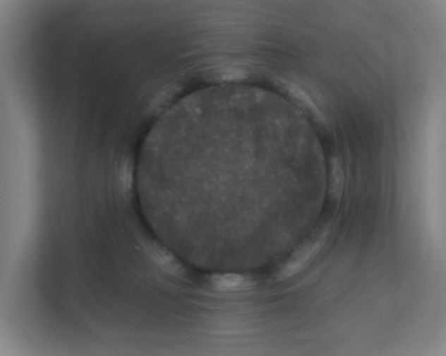 X0000111460230200908101101
