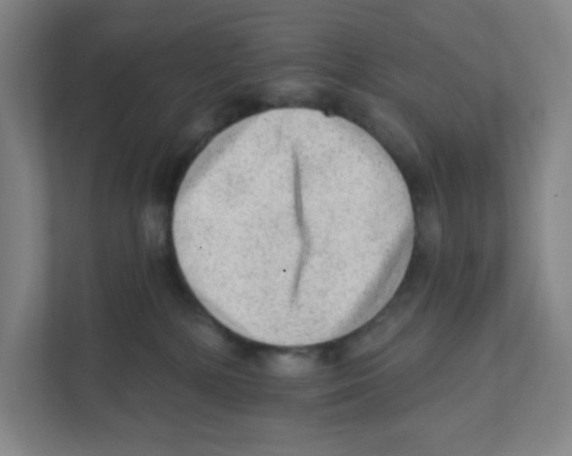 X0000111460232200908101101