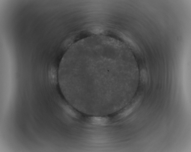 X0000111460234200908101101