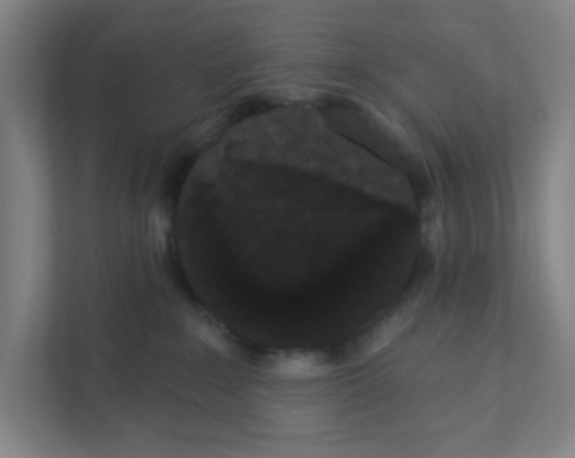 X0000111460235200908101101