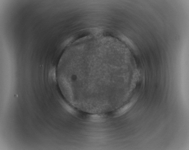 X0000111460238200908101101