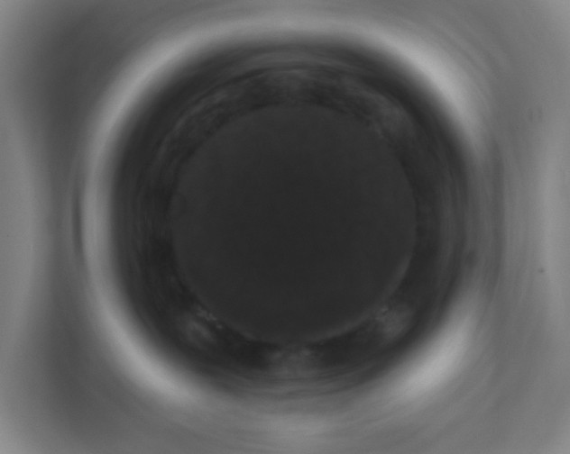 X0000111460239200908101101