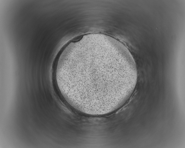 X0000111460242200908101100