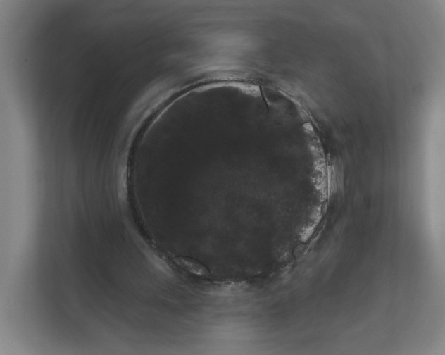 X0000111460243200908101100