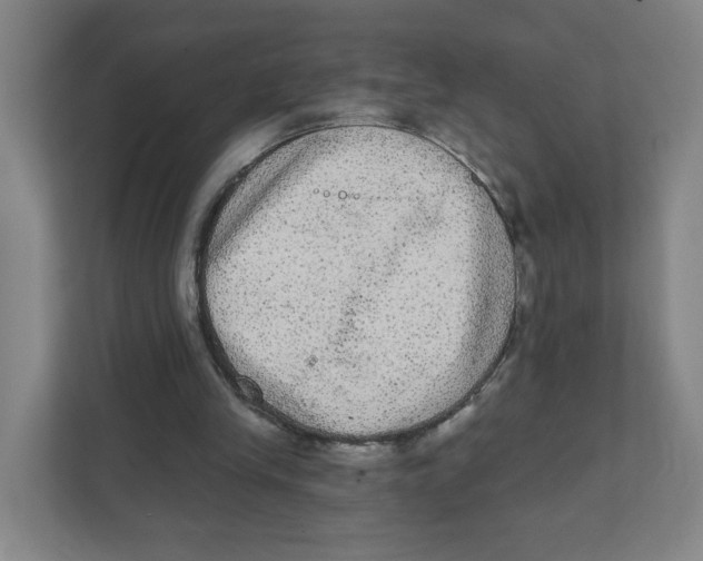X0000111460245200908101100