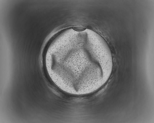 X0000111460246200908101100