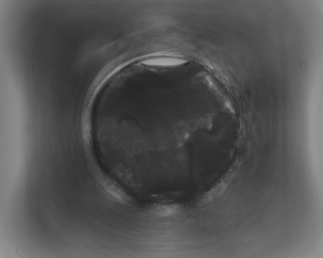 X0000111460247200908101100