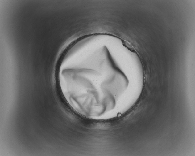 X0000111460248200908101100