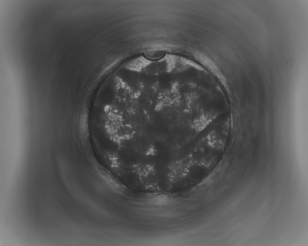 X0000111460249200908101100