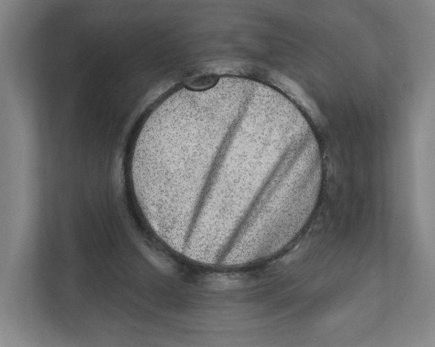 X0000111460250200908101100