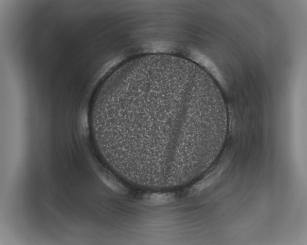 X0000111460251200908101100