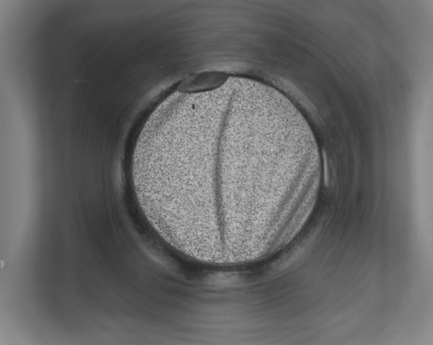 X0000111460252200908101100
